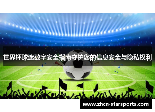世界杯球迷数字安全指南守护您的信息安全与隐私权利