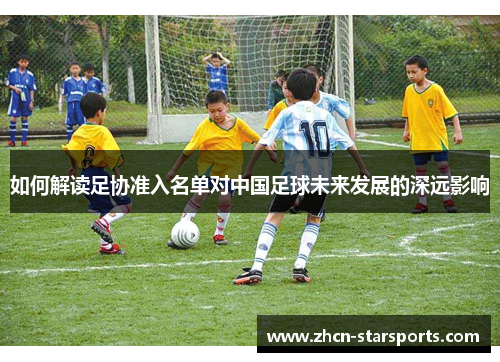 如何解读足协准入名单对中国足球未来发展的深远影响