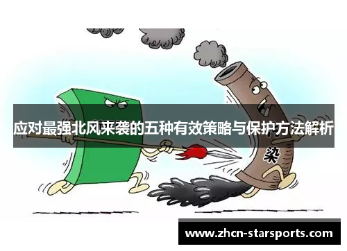 应对最强北风来袭的五种有效策略与保护方法解析